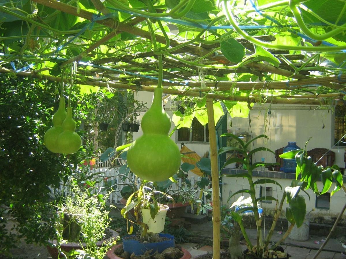 Coco Happy Farm Villa Ben Tre Eksteriør bilde