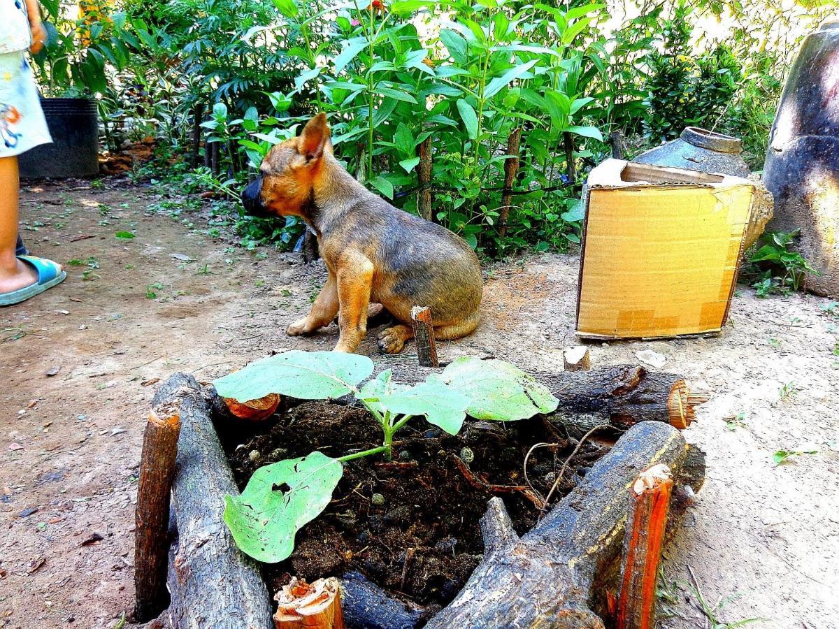 Coco Happy Farm Villa Ben Tre Eksteriør bilde