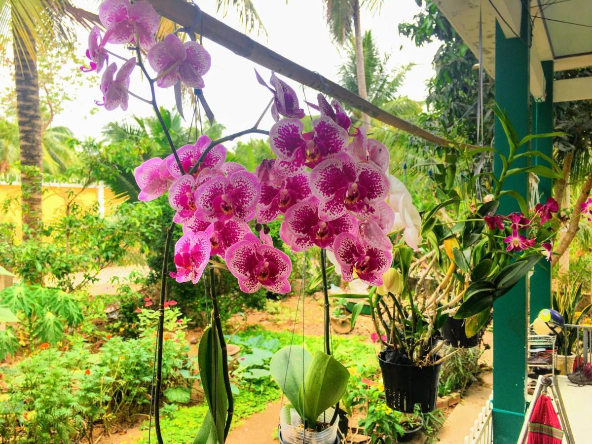 Coco Happy Farm Villa Ben Tre Eksteriør bilde