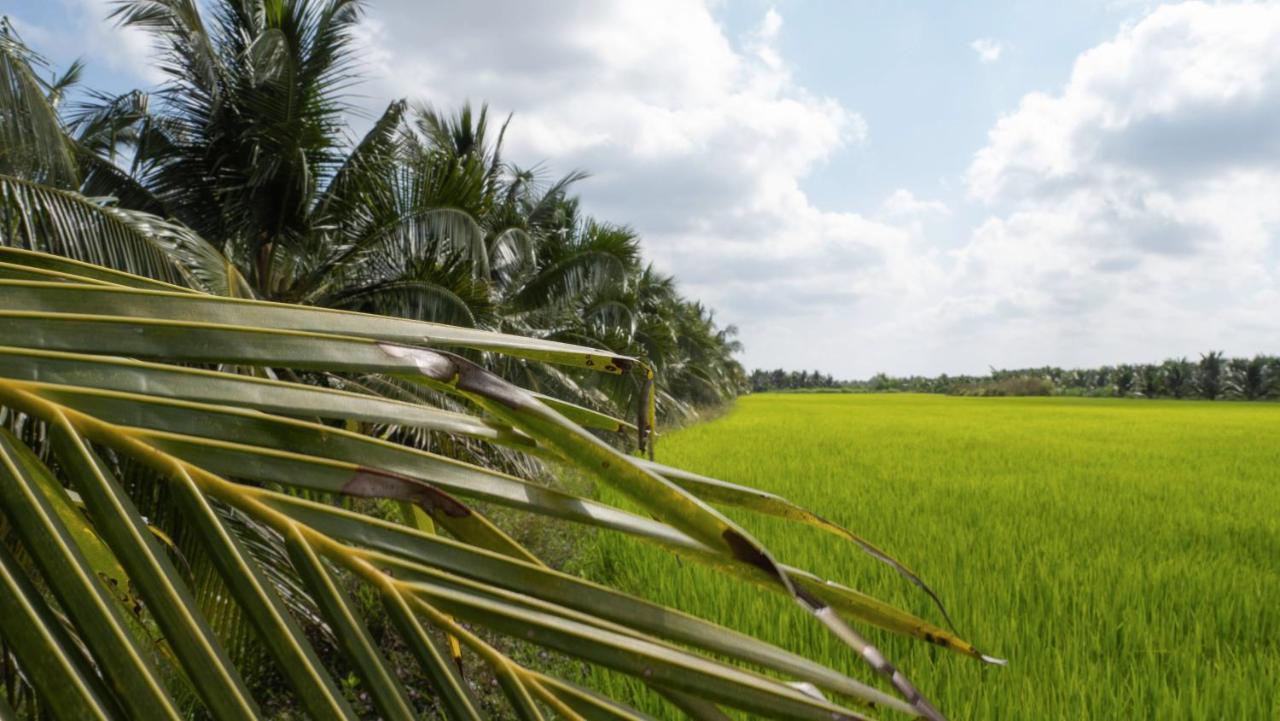 Coco Happy Farm Villa Ben Tre Eksteriør bilde