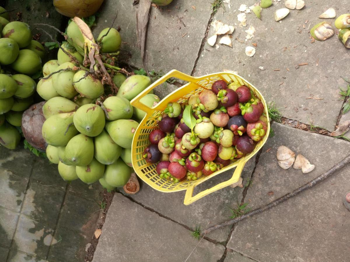 Coco Happy Farm Villa Ben Tre Eksteriør bilde