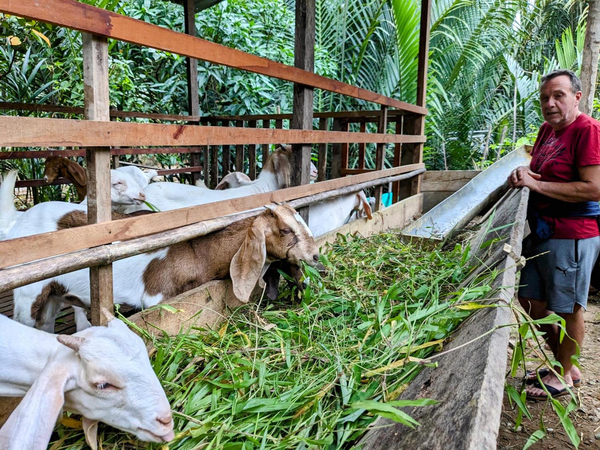Coco Happy Farm Villa Ben Tre Eksteriør bilde